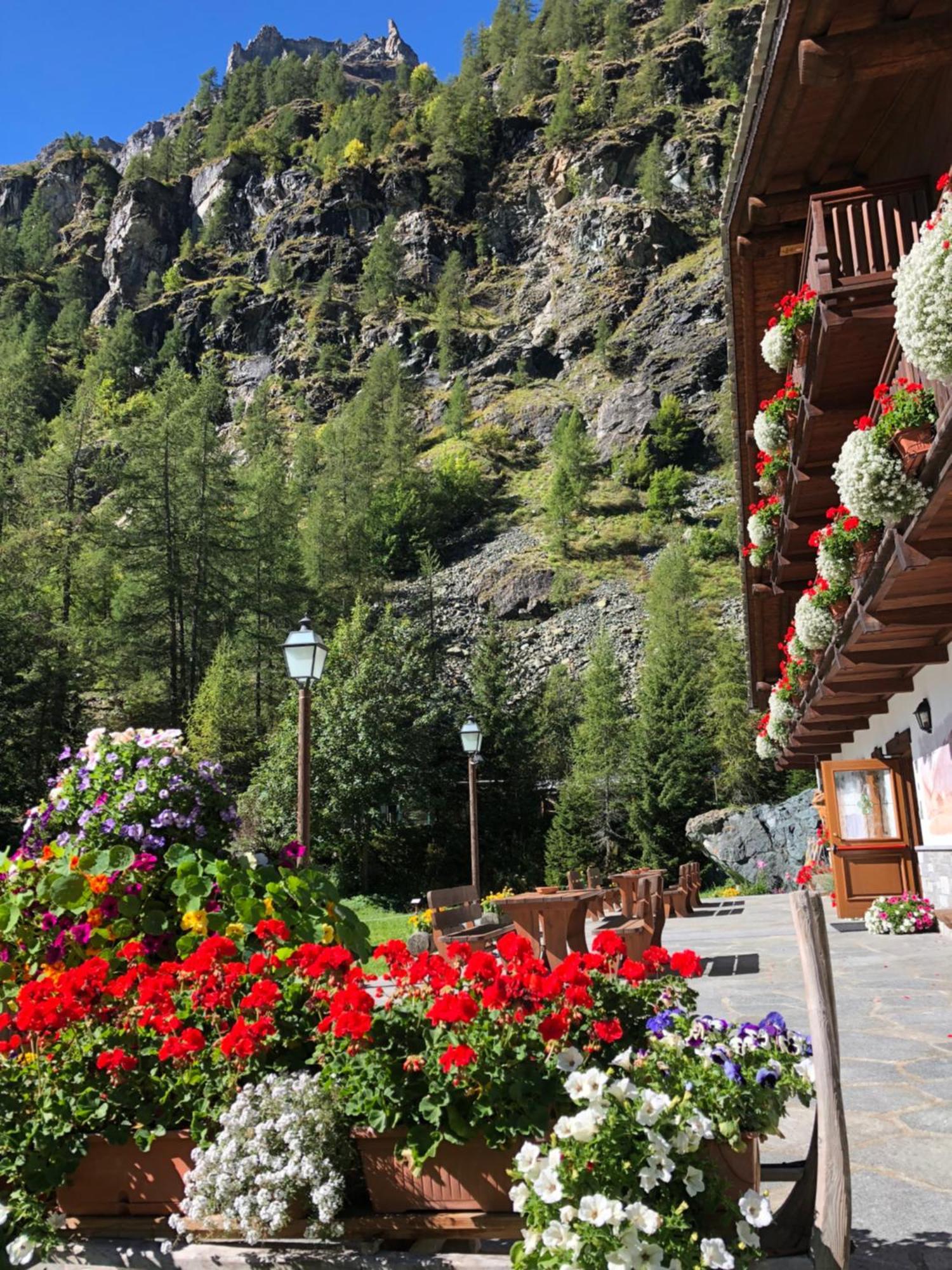 Residence Oberteil Gressoney-la-Trinité Exterior photo